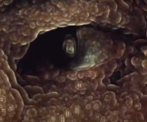 Genesis 7 - emerging face detail